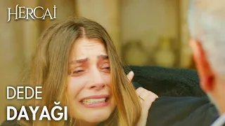 Nasuh, Yaren'in söylediklerini kaldıramadı! - Hercai Efsane Sahneler