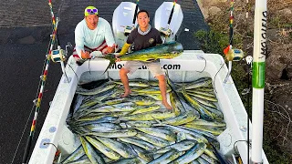 GREENSTICK FISHNG TUNA | BAITING A GIANT SCHOOL OF MAHI MAHI AND TAKING THEM TO THE FISH AUCTION!