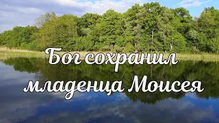 Бог сохранил младенца Моисея