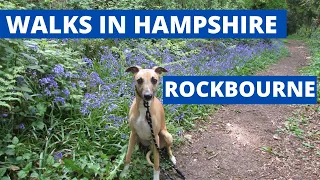 WALKS IN HAMPSHIRE : ROCKBOURNE (Inc BLUEBELL WOOD)