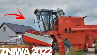 🌾Żniwa 2022🌾Gr Więczkowski✨ Jęczmień zimowy✨Ryk bizona✨