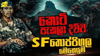 කොටි පැනලා දිව්ව SF ‌තොප්පිගල මෙහෙයුම SF මනා හෙළි කරයි | WANESA TV