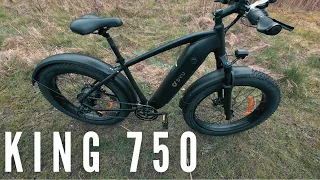 The KING of the trail | DYU KING 750 EBIKE