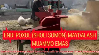 Sholi somon (Poxolning) ajallari filmida Molni poxol bilan boqsa bo’ladimi