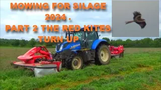 MOWING FOR SILAGE 2024. PART 2 THE RED KITES TURN UP