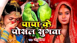 बेटी विवाह गीत || पापा के पोसल सुगवा || Anshu Priya Shadi Vivah Geet || Anshu Priya Beti Vivah Geet