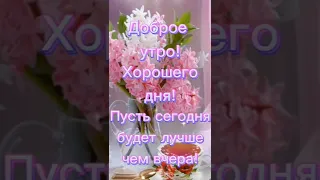 ДОБРОЕ УТРО🌷ХОРОШЕГО ДНЯ #short #shorts #shortvideo #shortsvideo #открыткисдобрымутром