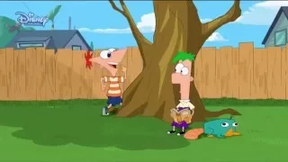 Phineas and Ferb | Hey Ferb! - Romanian