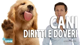 Cani : Diritti e Doveri | avv. Angelo Greco | Questa è la Legge