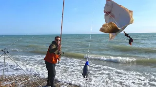 Hunting for a fantastic flounder!