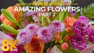 Amazing Flowers - 8K Ultra HD Relax Video with Gentle Piano Music - Part #2 - Short Version