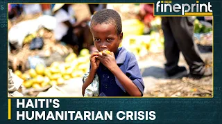Unable to feed 100,000 Haitians this month: United Nations | WION Fineprint