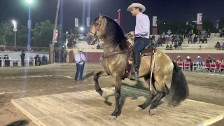 CONCURSO DE CABALLOS BAILADORES EN LA EXPO GANADERA DE CULIACÁN