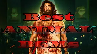 BEST ANIMAL BGMs | PART 1|