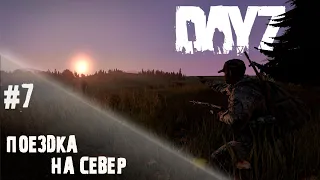 Жажда скорости - DayZ