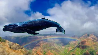 Whale Flying High in Hawaii