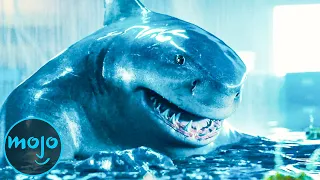 Top 10 Best King Shark Moments