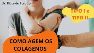 COMO AGEM OS COLÁGENOS TIPO I E TIPO II NO NOSSO ORGANISMO?