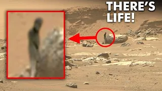 Perseverance Rover Sent Latest SHOCKING Images of Martian Life | Discover Me