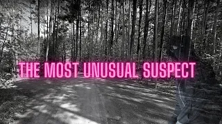 The Most Unusual Suspect - Part 1