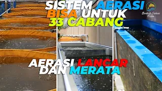 CARA AGAR AERASI LEBIH LANCAR DAN MERATA DI SEMUA KOLAM