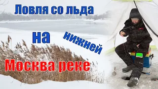 Ловля со льда на нижней Москва реке