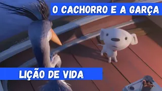 Lição de Vida - O CACHORRO E A GARÇA - curta animado