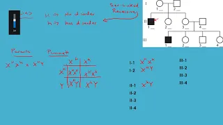 Genetics Pedigree Sex linked Recessive Analysis