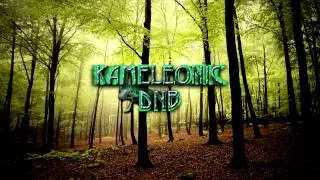 KameleonicDNB - 30Min Drum & Bass - 29.10.2013