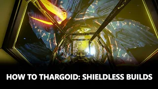 How To Thargoid: Shieldless Builds
