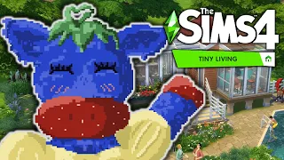 A Big Author in a Little World - THE SIMS 4 TINY LIVING PT1