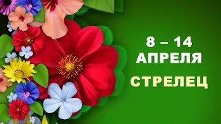 ♐ СТРЕЛЕЦ. 🌺 С 8 по 14 АПРЕЛЯ 2024 г. 🌸 Таро-прогноз 🌿