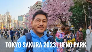 Tokyo Sakura in Ueno Park 2023