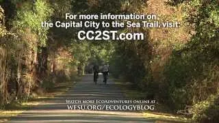 Cycling the Capital City to the Sea Trail: EcoAdventures North Florida