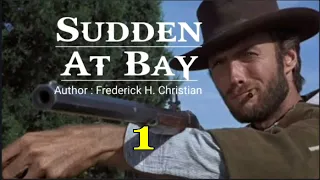 SUDDEN : AT BAY - 1 | Author : Frederick H. Christian