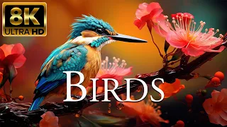 Birds 8K ULTRA HD | Most Beautiful Birds In The World