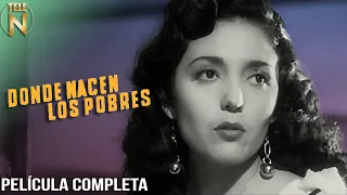 Donde Nacen Los Pobres (1950) | Tele N | Película Mexicana Completa