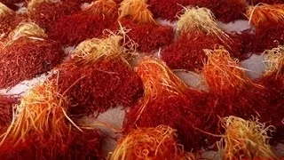 Skin Health Benefits of Saffron - Health Benefits of Saffron