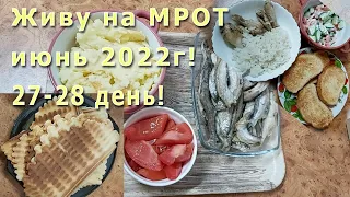 Живу на МРОТ июнь 2022г! 27- 28 день! Мойва! Вафли! Куриные крылышки! Красный чай! Наконец-то овощи!