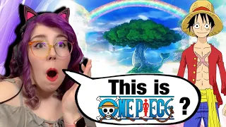 The Breathtaking World of One Piece REACTION - Zamber Reacts