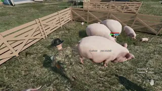 Ranch Simulator clip 1