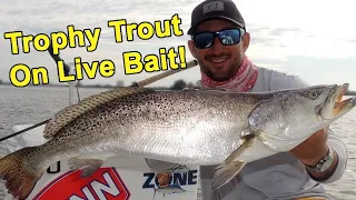 How To Catch Big Trout On Live Bait (With Capt. Peter Deeks)