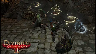 TREIBHOLZ-ARENA: BLINDER KAMPF! 🌀 Divinity Original Sin 2 #63