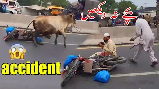 OMG Angry Bull - Very Dangerous Bull Qurbani 2023