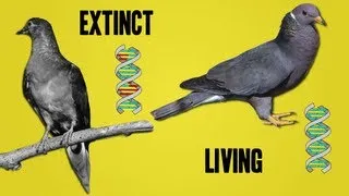 The Science Behind De-extinction