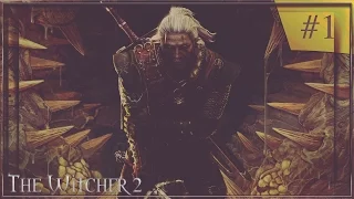 Прохождение The Witcher 2#Пролог