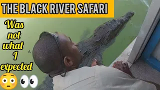 FULL TOUR OF THE BLACK RIVER SAFARI IN ST.ELIZABETH JAMAICA 🇯🇲 , SEE HUGE FRIENDLY CROCODILES 🐊
