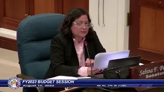 36th Guam Legislature FY2023 Budget Session - August 10, 2022