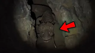 Top 5 Scary Videos That'll Scare The DAYLIGHTS Out Of You!