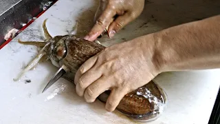 Amazing cutting cuttlefish fillet master / Korean Street Food